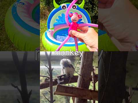 Kids Learn | Animal Names: Crocodile Bat Horse Rhino Monkey #HolidaysWithYouTube