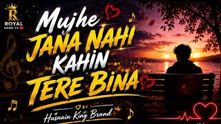 Download lagu Mujhe Jana Nahi Kahin Tere Bina (Slowed Reverb)Song mp3
