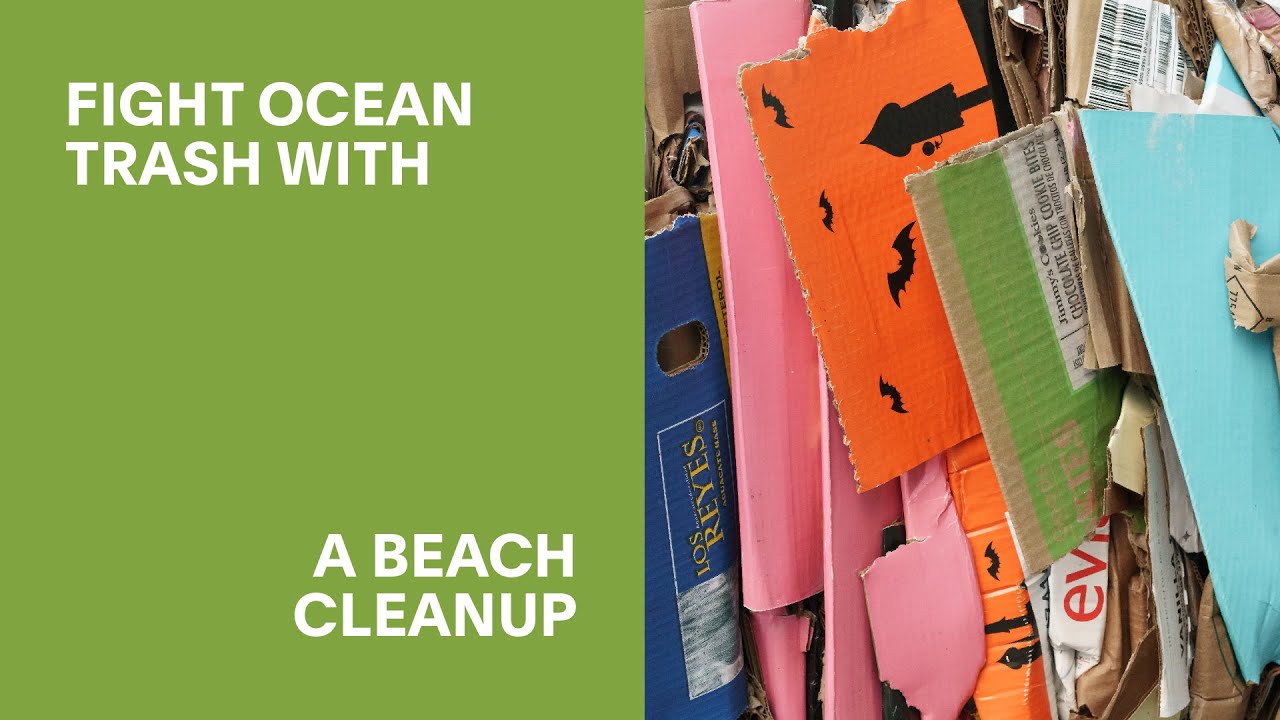 Fight Ocean Trash With A Beach Cleanup