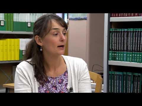 Hydro Nation International Centre - an interview with Rowan Ellis