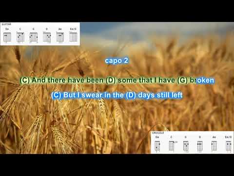 Fields of Gold - Eva Cassidy