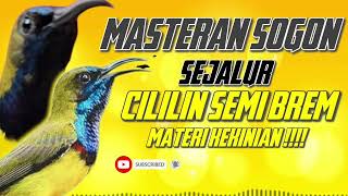 Download lagu MASTERAN SOGON‼️ SEJALUR MATERI CILILIN SEMI BREM MATERI KEKINIAN #sogon #sogongacor #sogokontong mp3