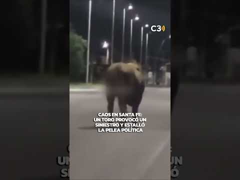 Caos en Santa Fe por un toro suelto en la ruta | Cadena 3 Argentina