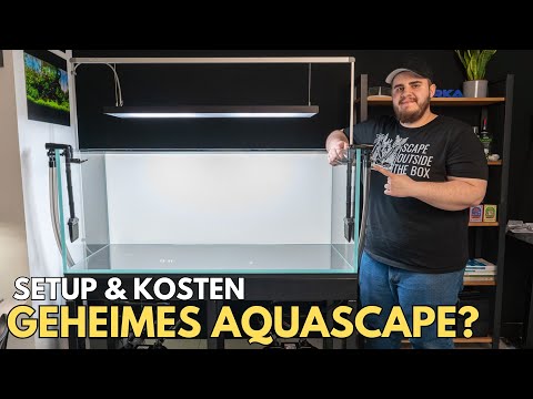 My new secret aquascape setup & how much it cost?