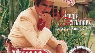 Vicente Fernandez-Bohemio De Aficion