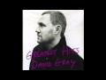 David Gray - "Destroyer" 