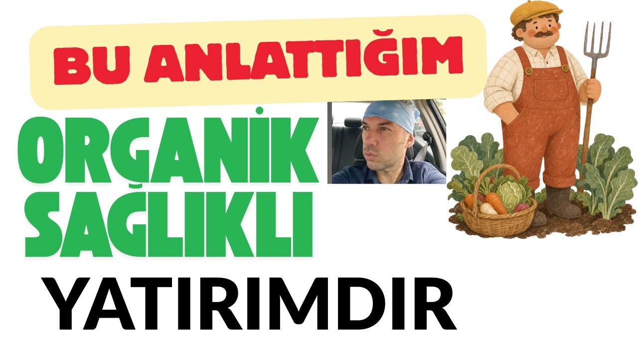 Minimalist Organik Yatırımla Sen de Kazanabilirsin Bitcoinde Hedef 100 Bin Dolar Düşüş Kalıcı Değil