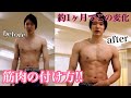 【ジムなし】【俺が1か月で体を変えた方法‼】【自粛期間トレーニングで筋肉めっちゃついた方法‼】