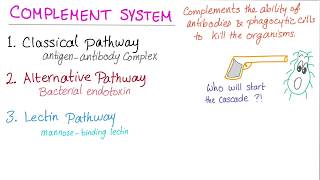 Alternative Complement Pathway