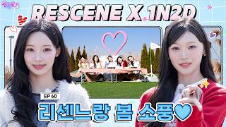 [SUB] EP.60 RESCENE | 봄에는 피크닉이지🥪 근데 뭘 먹을지는 비밀이야🤫 | 돌박이일 #리센느 봄 소풍 투어 [4K]