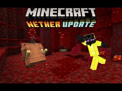 MaxerZ99 Gaming - Minecraft 1.16 snapshot 20w06a MORE NETHER BIOMES!!!