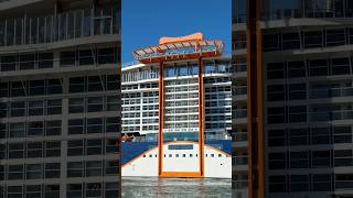 Celebrity Apex in Port Canveral! #shorts #celebrityapex #portcanaveral #cruiseship