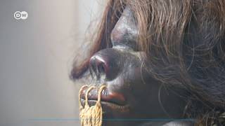 La lúgubre práctica de los Shuar