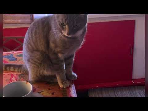 Late November Nows [ Song: “Los Desaparecidos” (Art Bergmann) ]