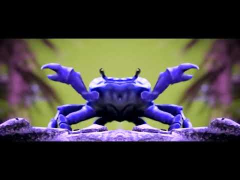 Noisestorm - Crab Rave (Official Music Video) In Conga Busher