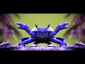 Noisestorm Crab Rave Official Music Video In Conga Busher