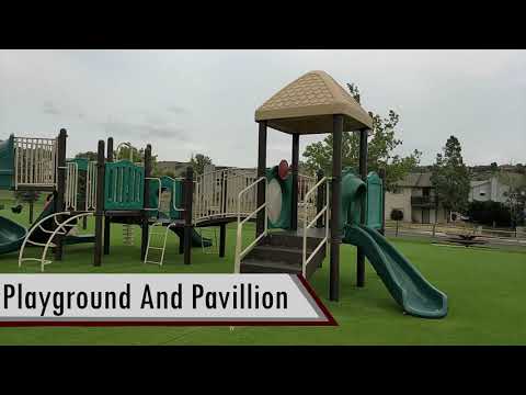 Wilson Ranch Park and Pool in Colorado Springs #shorts