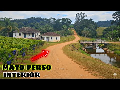 AQUI OS AGRICULTORES ESTÃO TRABALHANDO MUITO PRA VIVER 