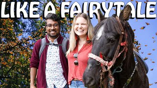 MAGICAL MONARCH BUTTERFLY FOREST IN MEXICO - Bucket List Experience near Mexico City #monarch #butterfly #migration gameplay video by alucas, 11:18 duration