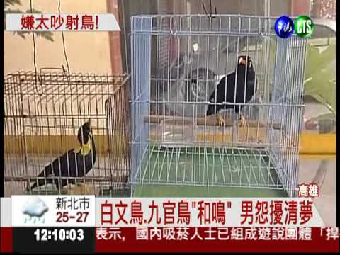 鳥叫擾清夢? 男開槍洩恨射破門窗