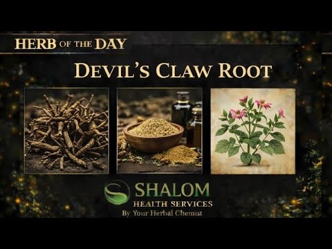 Herb of the Day Devils Claw