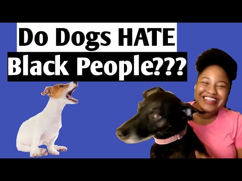 Can Dogs Be Racist? – Why Your Dog’s Barking at BIPOC & Examining Why “Dogs Don’t Like Black People”