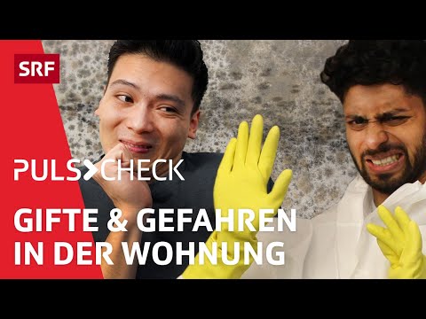 Schimmel, Staub und Lärm: Diese Tipps und Gefahren musst Du kennen | Puls Check | SRF Wissen