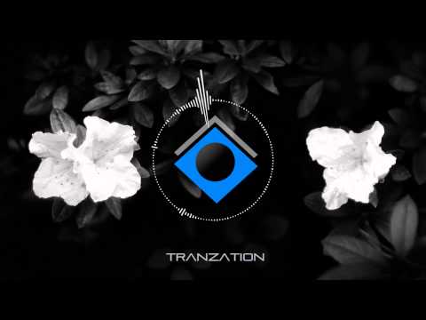 Matt Darey pres. Urban Astronauts - Black Flowers (Aurosonic Remix)