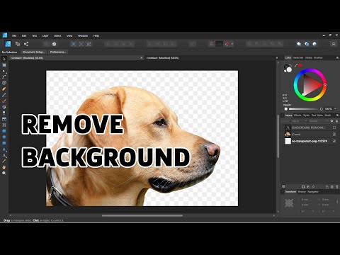 How to Remove Image Background in Affinity Designer Tutorial 2022
