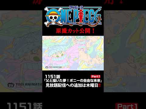 アニメ「#ONEPIECE」見放題配信への追加は木曜日‼️1151話‼️ #onepiece #原撮