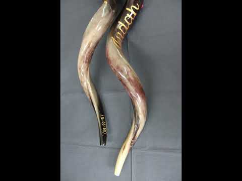 LECTURE EN FRANCAIS DU TEHILIM 86