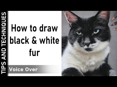 HOW TO DRAW BLACK AND WHITE FUR IN PASTELS | DRAWING A...