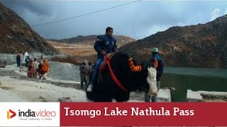 Tsomgo Lake - A glacial lake in Sikkim 