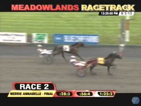 2013 Merrie Annabelle - theharnessedge.com