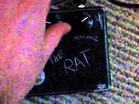Vidéo de la Will Sledge FX The last Adam (Vintage Proco Rat Clone)