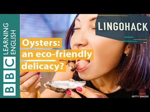 Oysters: an eco-friendly delicacy? Watch Lingohack