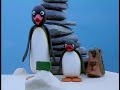 Pingu The Mountaineer Reversed