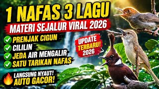 Download lagu Masteran terbaik 2026 satu nafas 3 lagu || Materi yang paling banyak di cari mp3 Download lagu Masteran terbaik 2026 satu nafas 3 lagu || Materi yang paling banyak di cari mp3