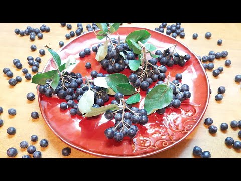 Dobre i loše strane ARONIJE