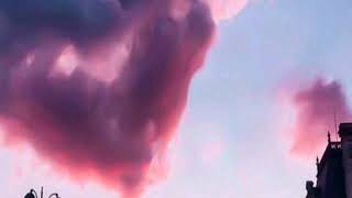 Toni Romiti - Imma Dog Too Lyrics