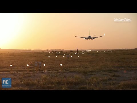 "China speed": Air route boosts flower trade between Netherlands, Zhengzhou