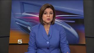 Texas Rangers Confirm 5th Person Arrested for Voter Fraud in Edinburg