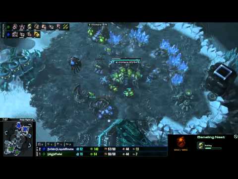 Finals: Snute(Z) Vs Tefel(Z) G4 - Go4Sc2 Monday Premium Cup