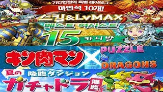 [퍼즈도라 토크] 한번 더 나에게 질풍같은 가챠를♬