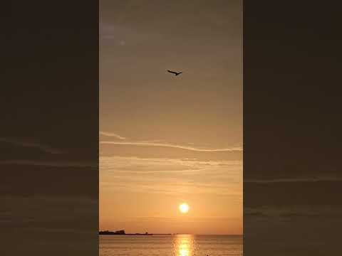 #collingwood #sunset #sunsetview #sunsetviewpoint #beach #beachsunset #beach #