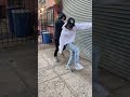 DD Osama Gets Sturdy With Lil Mabu