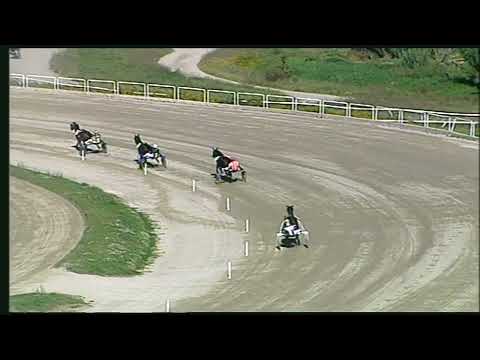 Napoli Trotto 30/10/2022 - 2ª prova di qualifica