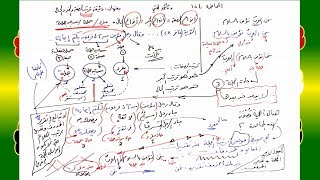 صورة 154 √ وثيقة ترتيب الصفة والخبر والحال