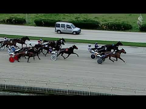 Aversa trotto 13 Febbraio 2021 - 7° Corsa