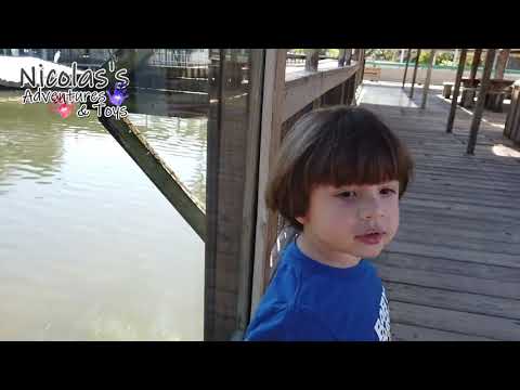 Aventura da Máquina do tempo: Um dia no parque Gatorland em Orlando! |